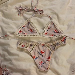 Acacia birds of paradise set